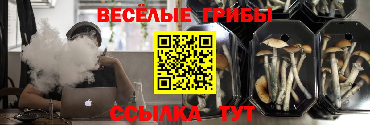 Псилоцибиновые грибы Magic Shrooms  Галлюциногенные грибы Magic Shrooms  Ухта  Вход с VPN 