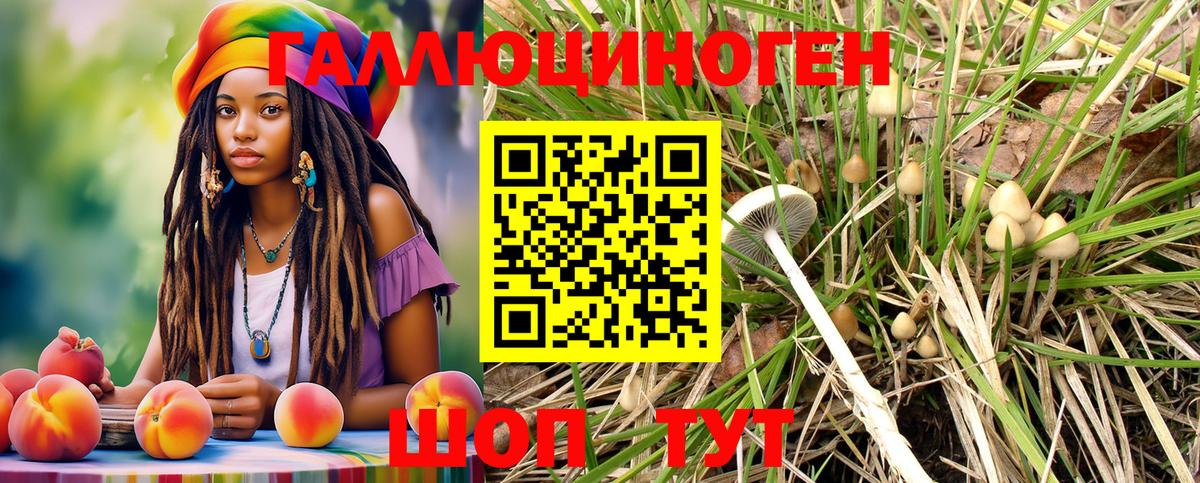 Псилоцибиновые грибы прущие грибы Ухта